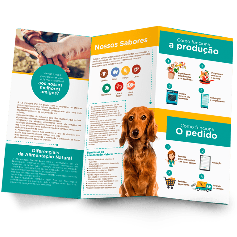 Agência de Instagram em Ribeirão Preto